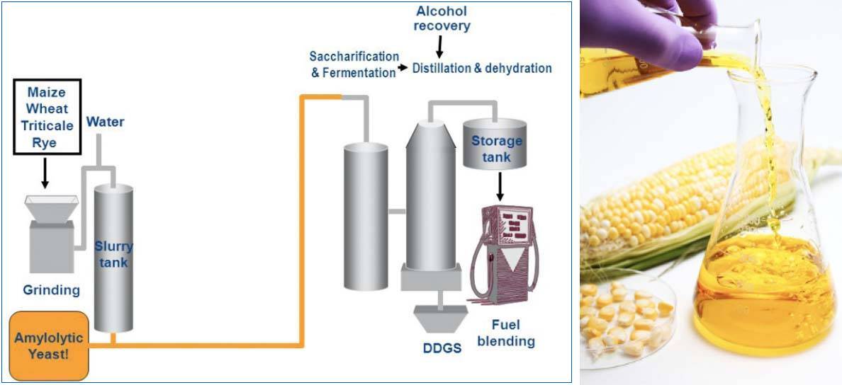 4a Molecular Sieves Xintao Molecular Sieve