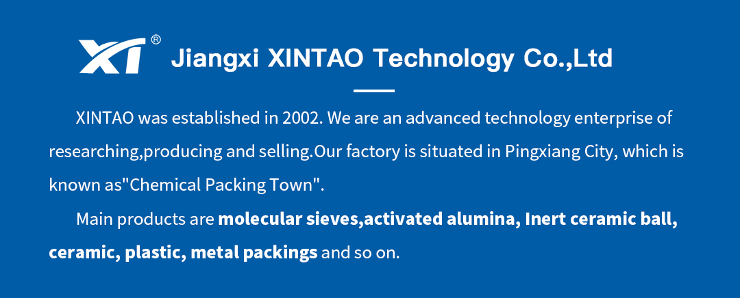 Xintao Technology-8