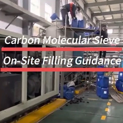Guía de instalación del tamiz molecular de carbono Xintao